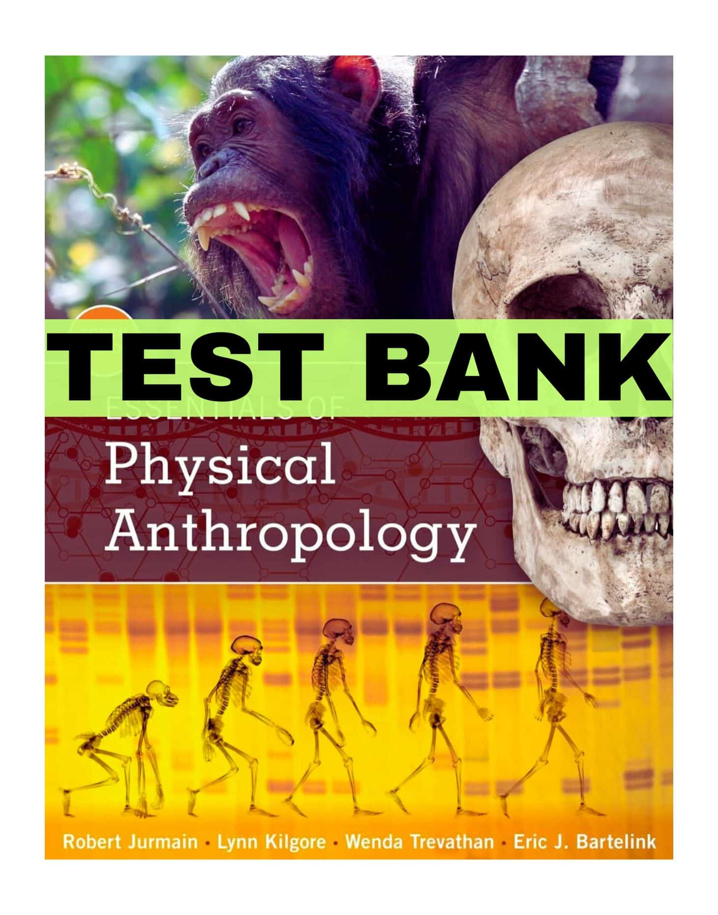 image_2024-06-21_132005921-1