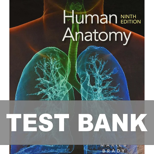 image_2025-01-15_191805248